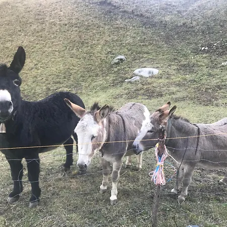 Uf Em Schloss * Goms