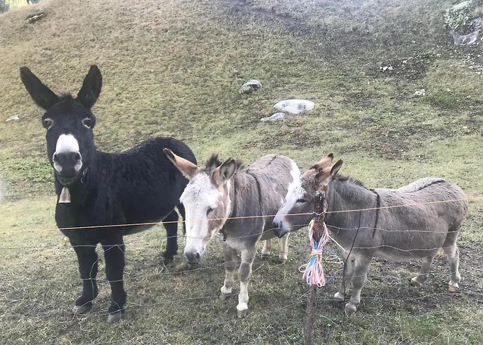 Uf Em Schloss * Goms